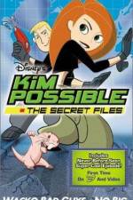 &quot;Kim Possible&quot; Attack of the Killer Bebes