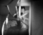 Remember Me, My Ghost (Short 2011)