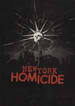 S3 E20 New York Homicide Season 3 Episode 20